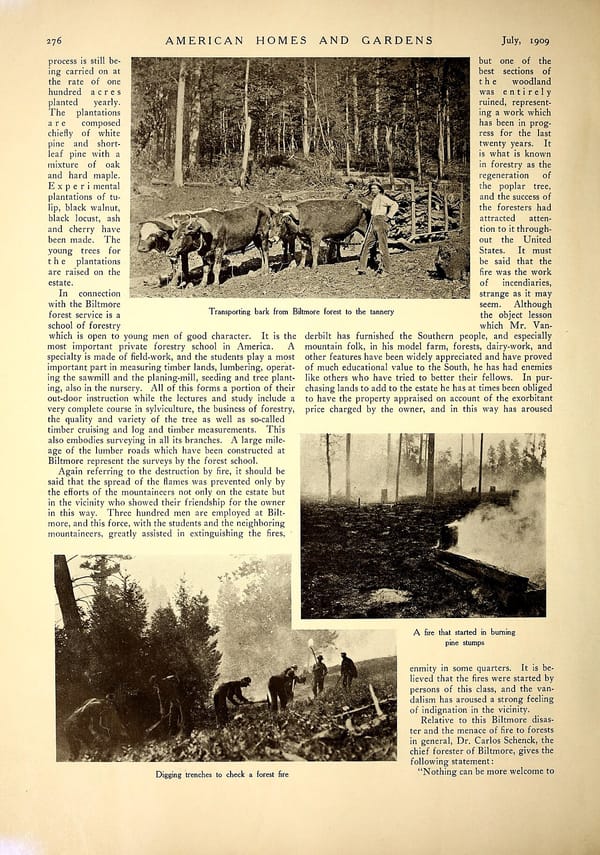 Appraisal Gap Fees Fall as Bidding Wars Cool